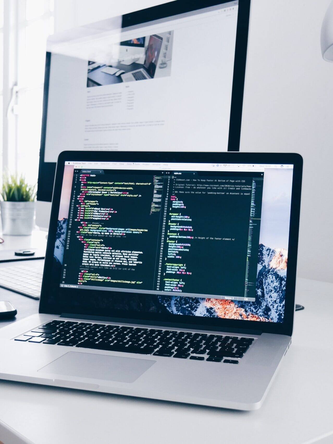 website dev scaled